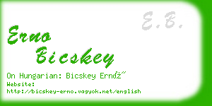 erno bicskey business card